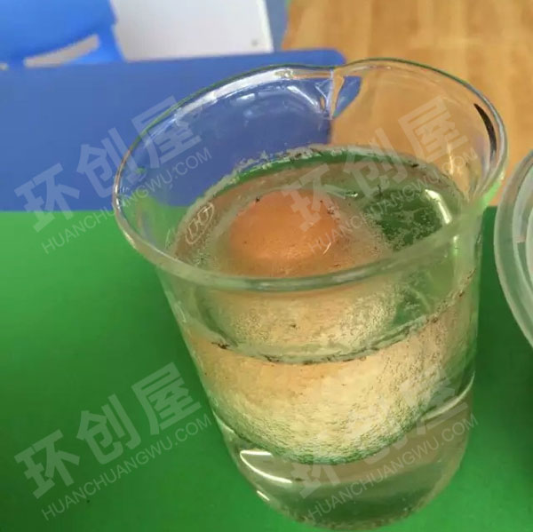 幼儿园科学区鸡蛋入水观察记录图片