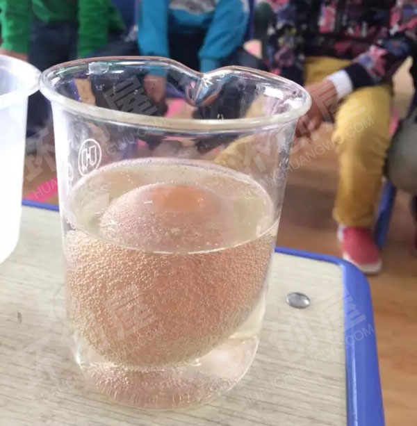 幼儿园科学区鸡蛋入水观察记录图片