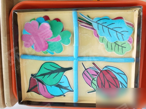 幼儿园益智区树叶操作材料图片