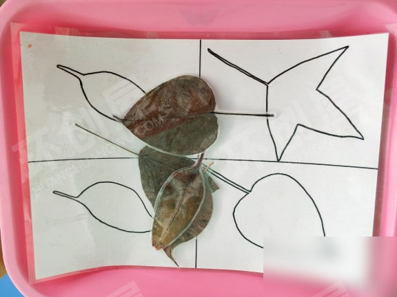 幼儿园益智区树叶操作材料图片