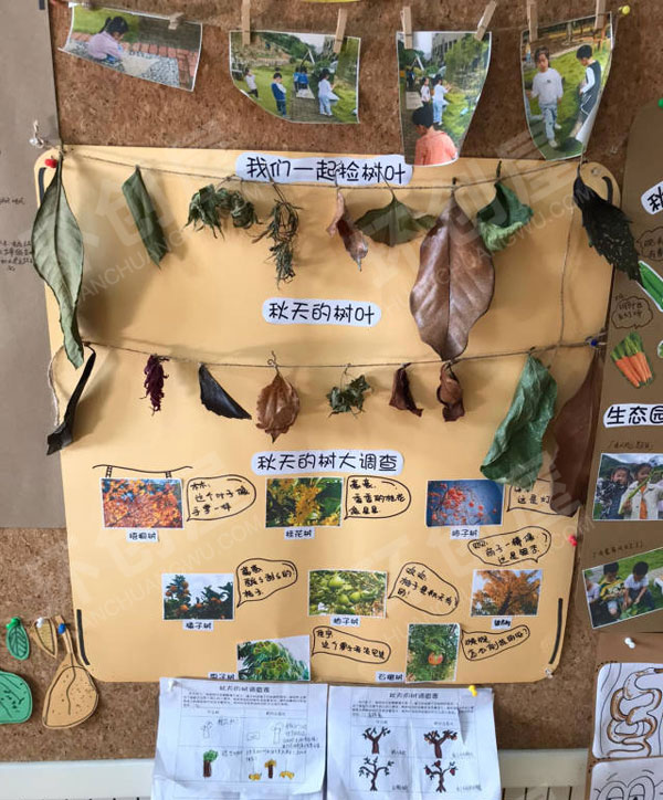 幼儿园多彩的秋天主题墙图片