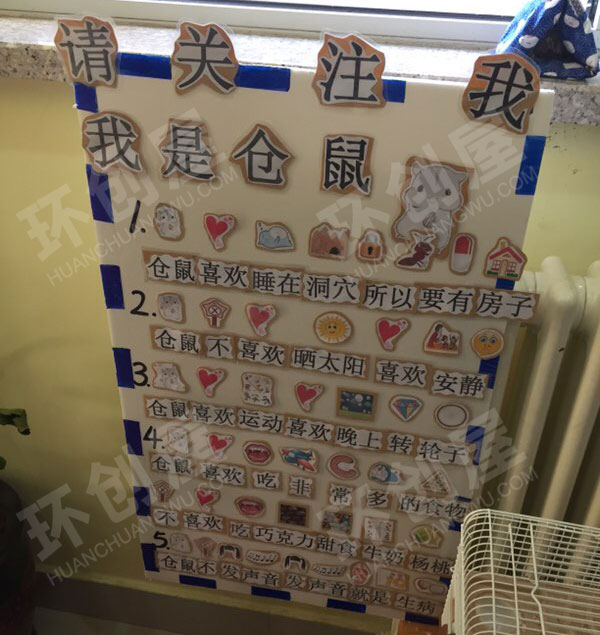 幼儿园我和动植物主题墙图片