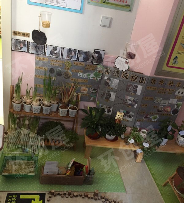 幼儿园我和动植物主题墙图片