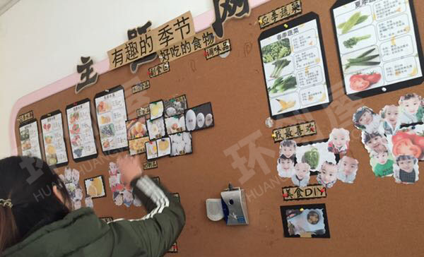 幼儿园我和动植物主题墙图片