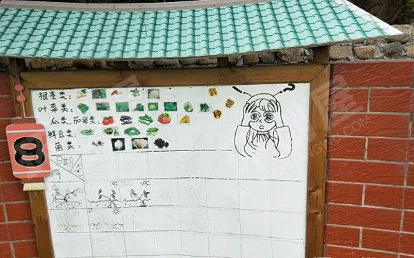 幼儿园户外环创植物角菜园观察记录图片