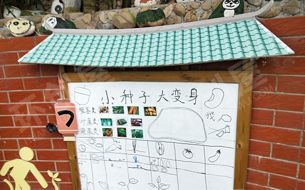 幼儿园户外环创植物角菜园观察记录图片
