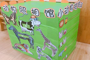 幼儿园科学箱玩法图片6张