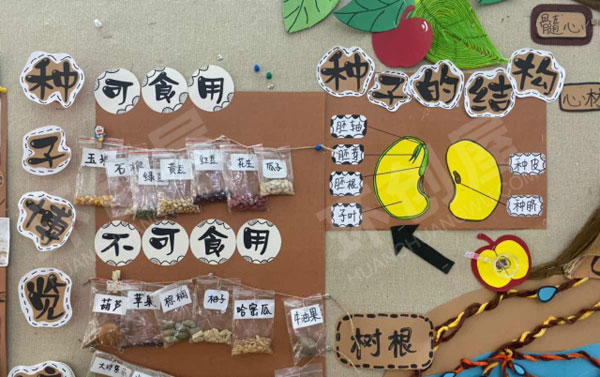 幼儿园大树主题墙环创图片