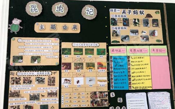 幼儿园昆虫记蚂蚁主题墙面图片