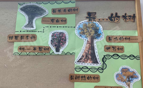 幼儿园大树主题墙环创图片