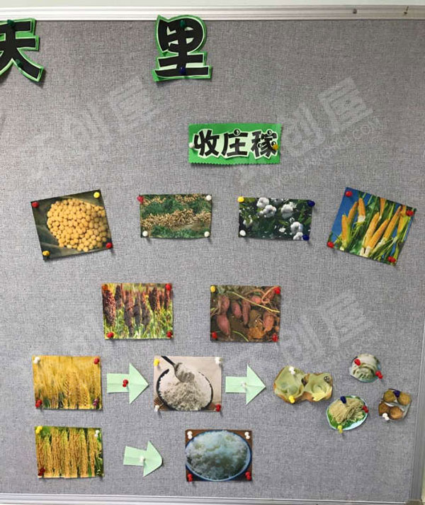 幼儿园主题墙在秋天里环创图片