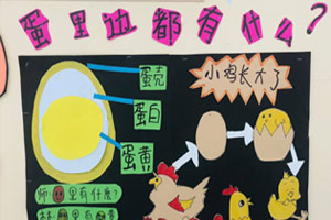 幼儿园有趣的蛋主题墙图片9张