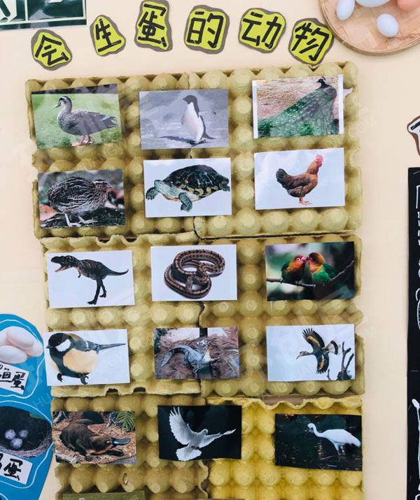 幼儿园有趣的蛋主题墙图片