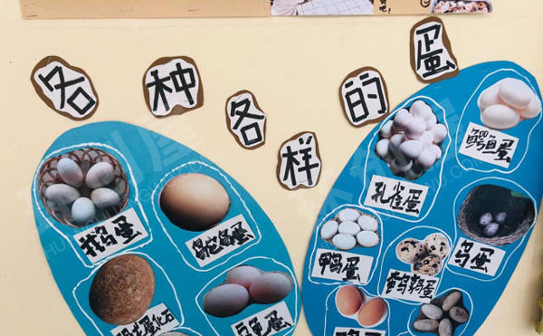 幼儿园有趣的蛋主题墙图片