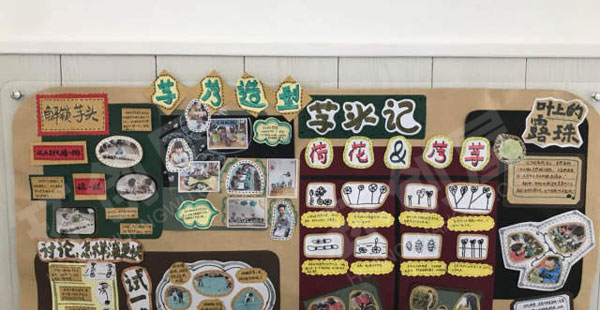 幼儿园墙面布置我们吃的粮食图片