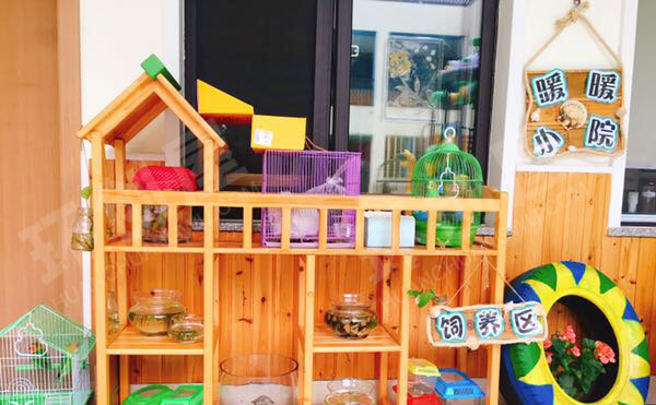 幼儿园走廊植物角废物利用环创图片