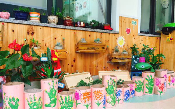 幼儿园走廊植物角废物利用环创图片