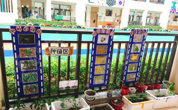 幼儿园走廊植物角废物利用环创图片
