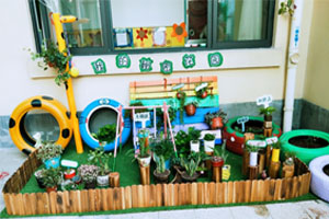 幼儿园户外环创植物角小花园图片4张