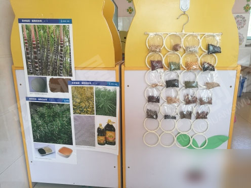 幼儿园科探区墙面科学布置图片