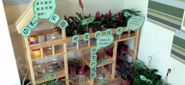 幼儿园户外超级好看植物角图片