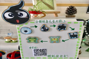 幼儿园科学区小蝌蚪长成记图片3张
