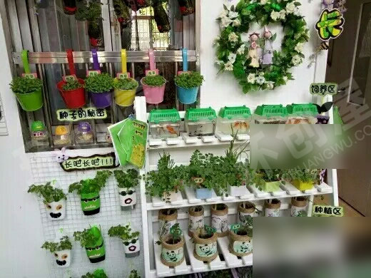 幼儿园户外生机勃勃的植物角图片