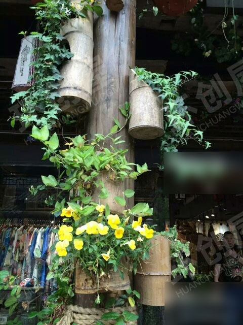 幼儿园户外生机勃勃的植物角图片