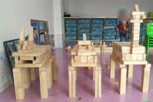 幼儿园建构区恐龙乐园图片6张