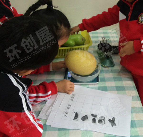 幼儿园科学区探索主题瓜图片