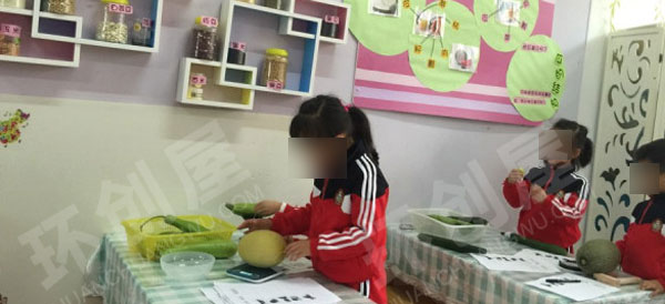 幼儿园科学区探索主题瓜图片
