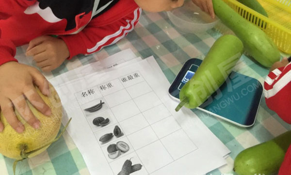 幼儿园科学区探索主题瓜图片