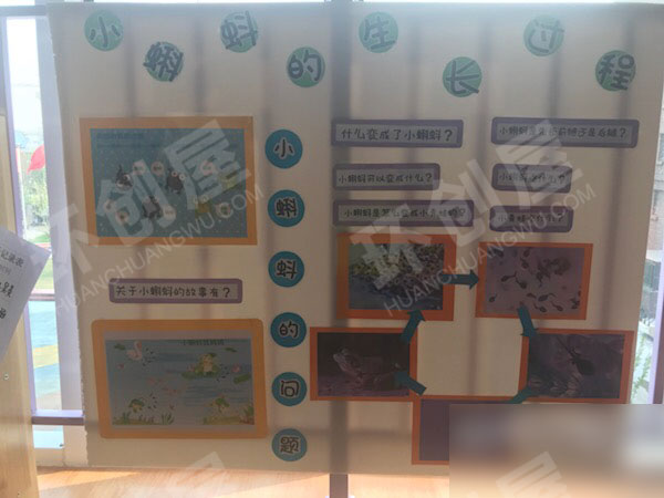 幼儿园科学区小蝌蚪的成长过程图片