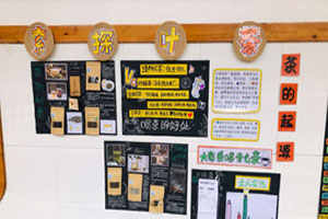 幼儿园茶叶探索记主题墙图片7张