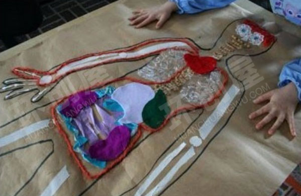 幼儿园科学区我们的器官图片
