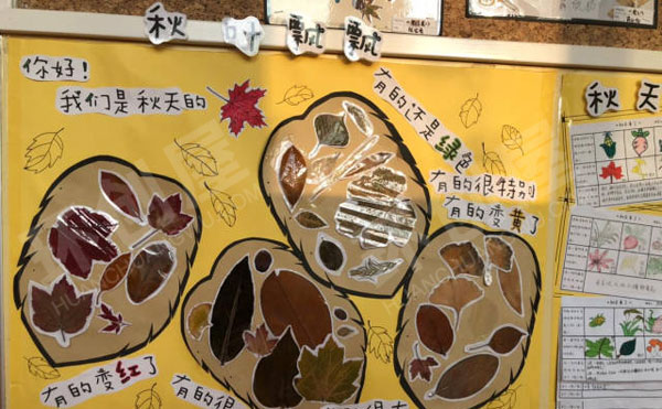 幼儿园科学区秋天来了墙面设计图片