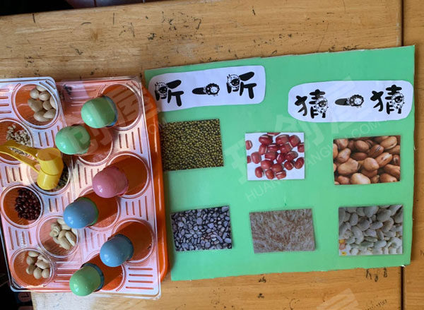 幼儿园科学区种子猜猜猜图片