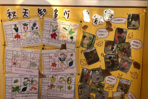 幼儿园科学区秋天来了墙面设计图片9张