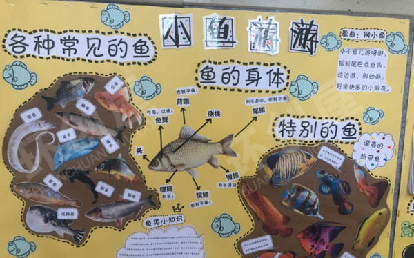 幼儿园科学区秋天来了墙面设计图片