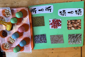 幼儿园科学区种子猜猜猜图片