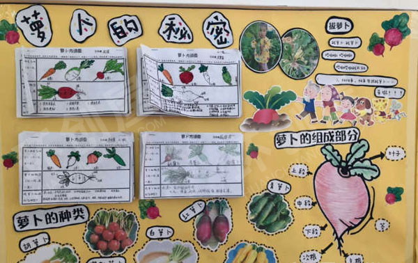 幼儿园科学区秋天来了墙面设计图片
