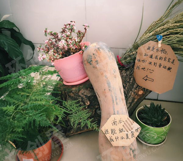 幼儿园走廊自然角的布置美好的田园生活图片