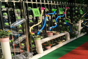 幼儿园户外自然角里的玩水装置图片3张