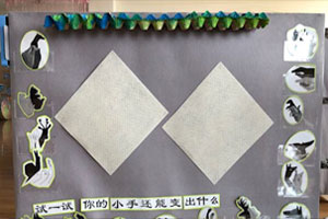 幼儿园科学区好玩的手影游戏图片