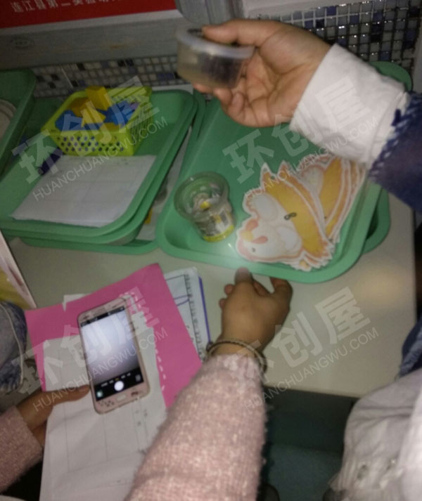 幼儿园科学区各种材料环创图片