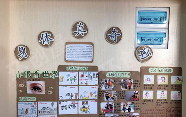 幼儿园身体真奇妙我的小眼睛主题墙图片