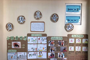 幼儿园身体真奇妙我的小眼睛主题墙图片6张