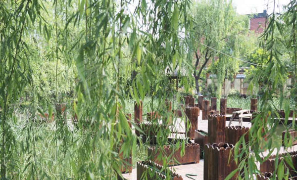 幼儿园户外环创热带雨林植物园图片
