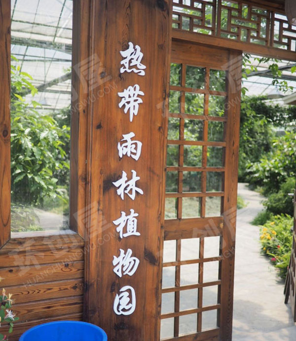 幼儿园户外环创热带雨林植物园图片