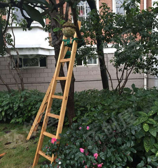 幼儿园户外活动器械玩转游乐绳图片